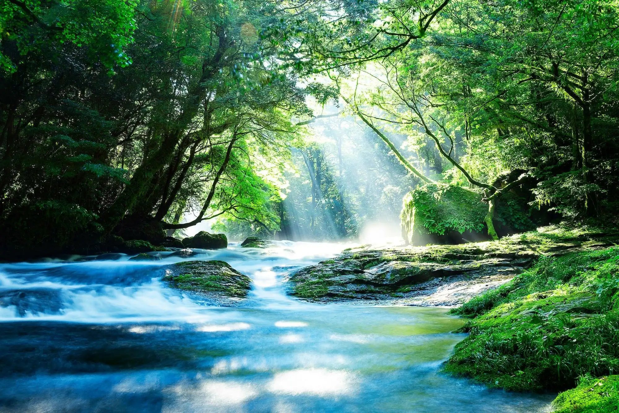 🏞️ 기쿠치 계곡 (키쿠치 케이코쿠) 이미지 6